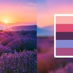 Como criar incríveis paletas de cores à partir de fotos